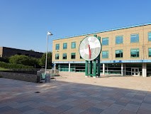 纽约州立大学普查学院